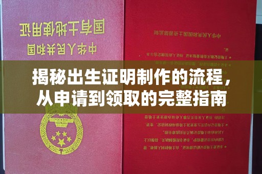 科尔沁左翼中旗揭秘出生证明制作的流程，从申请到领取的完整指南